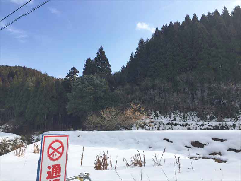 192号行き止まり山頂方向.jpg