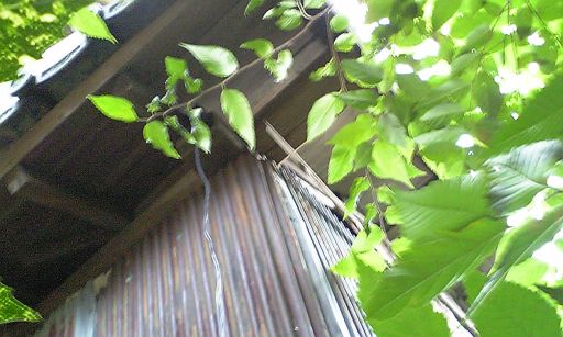 060803.jpg