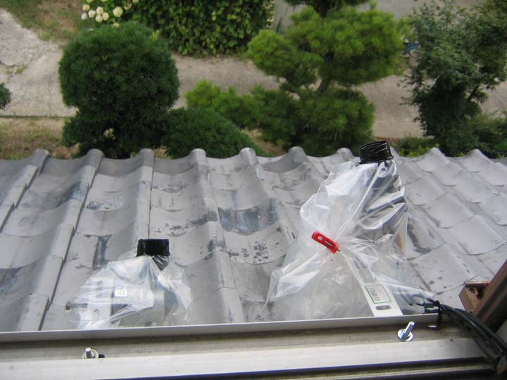0 1 IMG_0006ss.jpg