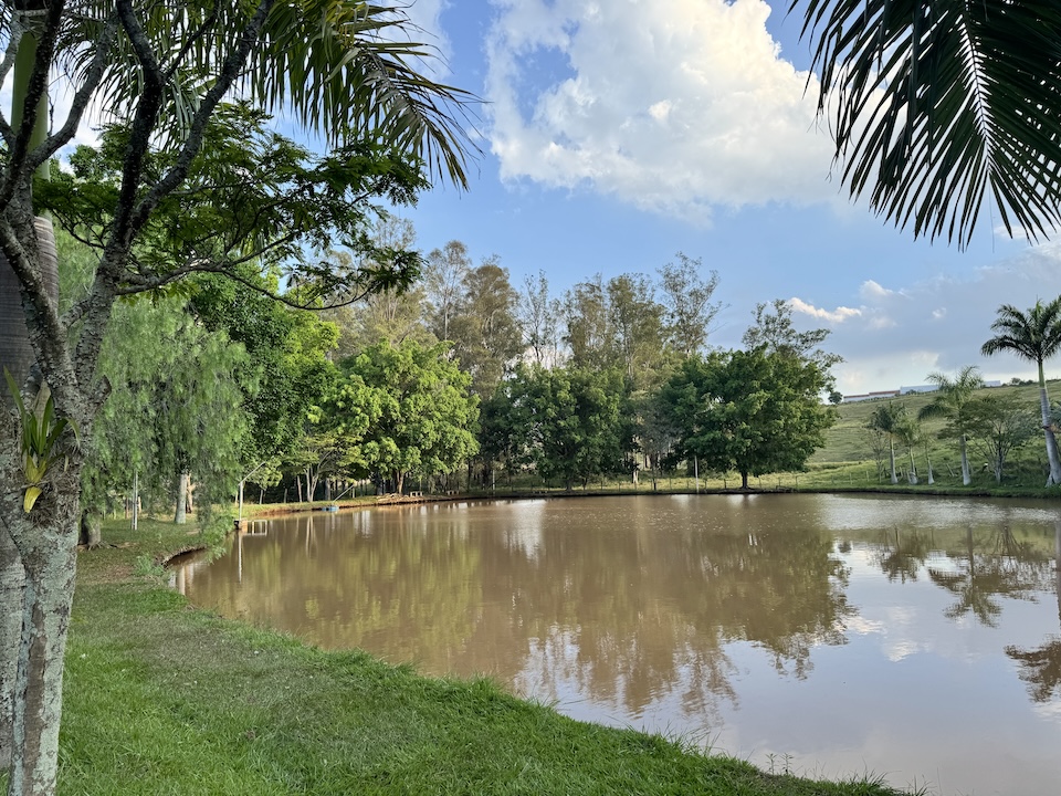 1 釣り堀風景.JPG