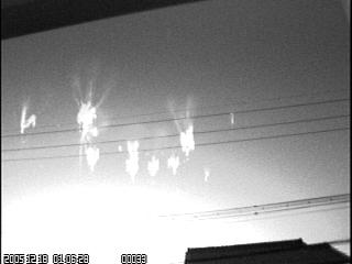 20051218_010628 sprite.jpg