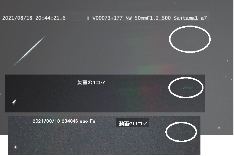 20210818_234846 spo Fe +m.png