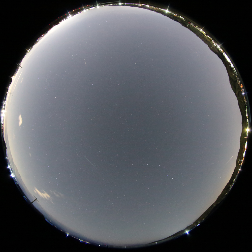2023年12月22-23夜のこぐま群出現状況r1_1000w.jpg