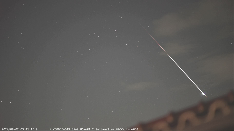 20240902_0341saitama1w8502.png