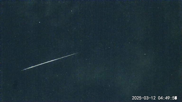 2025-0312-044953-768.jpg