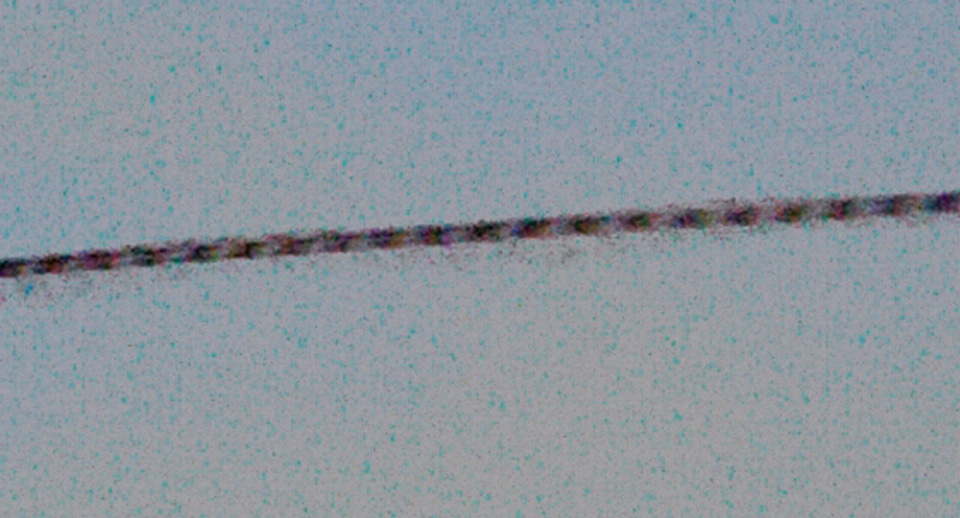 BirdFlight_exp_960.jpg