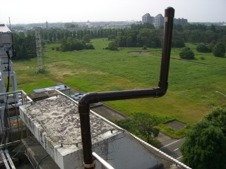 CIMG1724.jpg