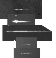 cyg.jpg