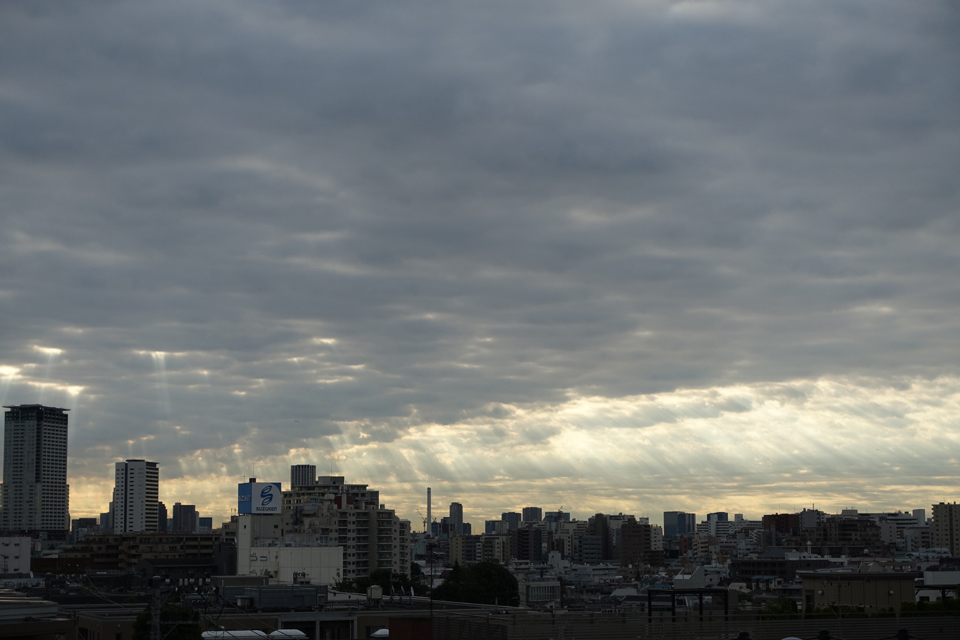 DSC01634s.jpg