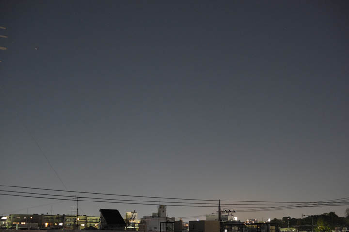 DSC_2980.JPG