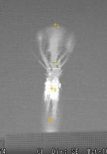 image01.jpg
