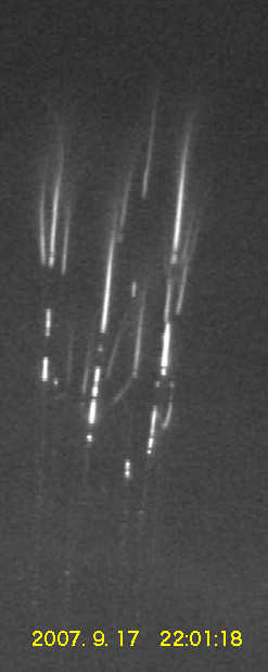 image01.gif
