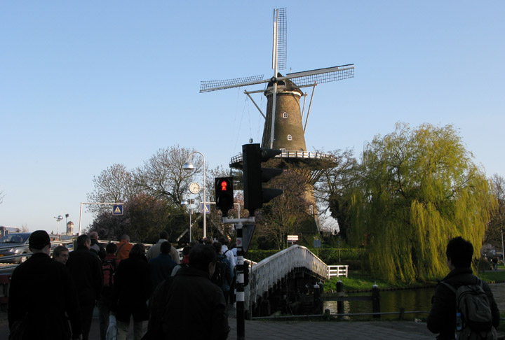 IMG_6371.JPG