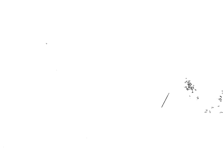 IMG_7586.gif