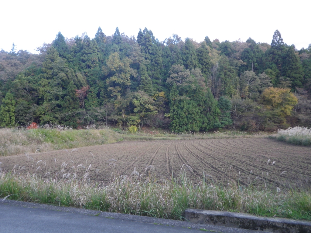 Imgp5467.jpg