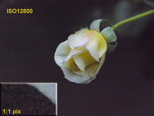ISO12800s.jpg