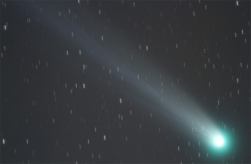 lovejoy_a.jpg