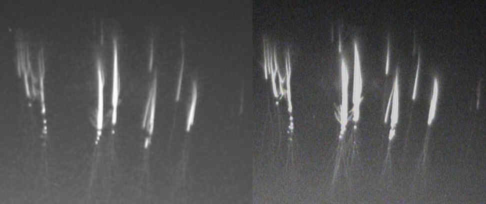 M20071215_234313_stereo.jpg