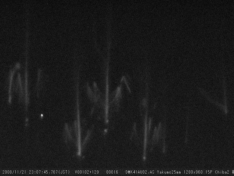 m20081121_230745_Chiba2_#6_016sX.jpg