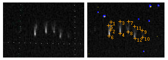 M20091214_042240_kagawa1_02_.png