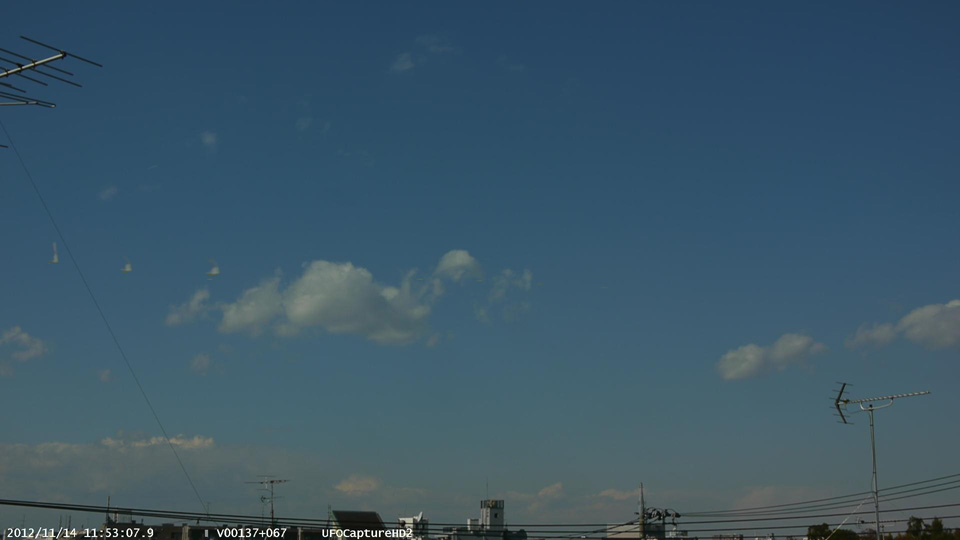 M20121114_115307__P.jpg