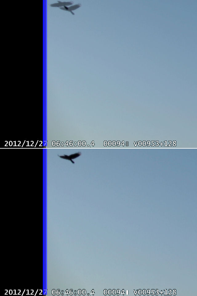 M20121227_064558_chiba2_#9_X.jpg