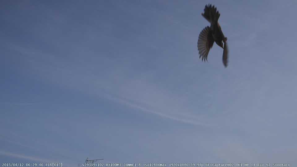 M20150412_062946_TK1_HBS.jpg