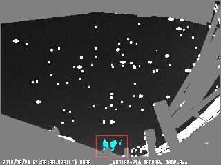 M20180324_215833_ak2_T1T.jpg