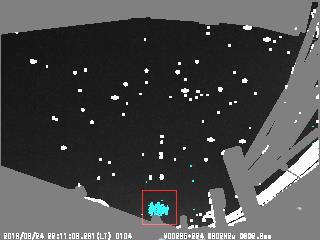 M20180324_221103_ak2_T1T.jpg