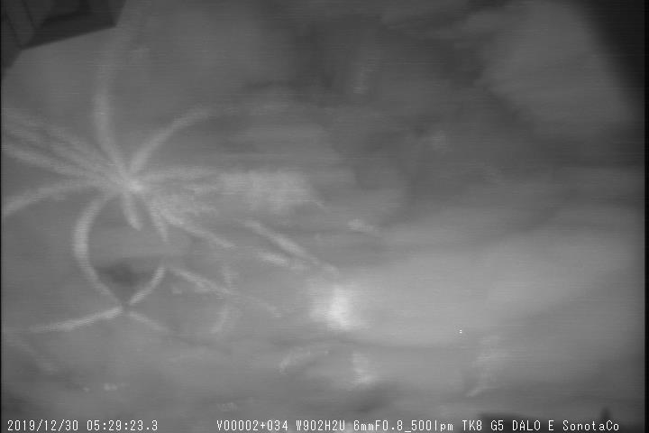 M20191230_052923_TK8_G5P.jpg