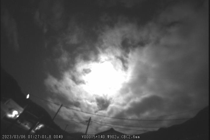 M20230306_012701_NN4_w0P.jpg