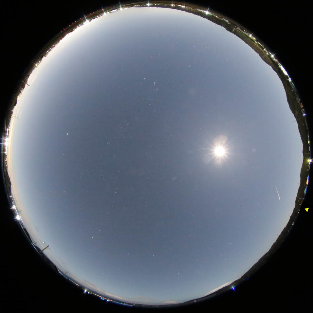 M20231202_005612_磐田市_full_1000w.jpg