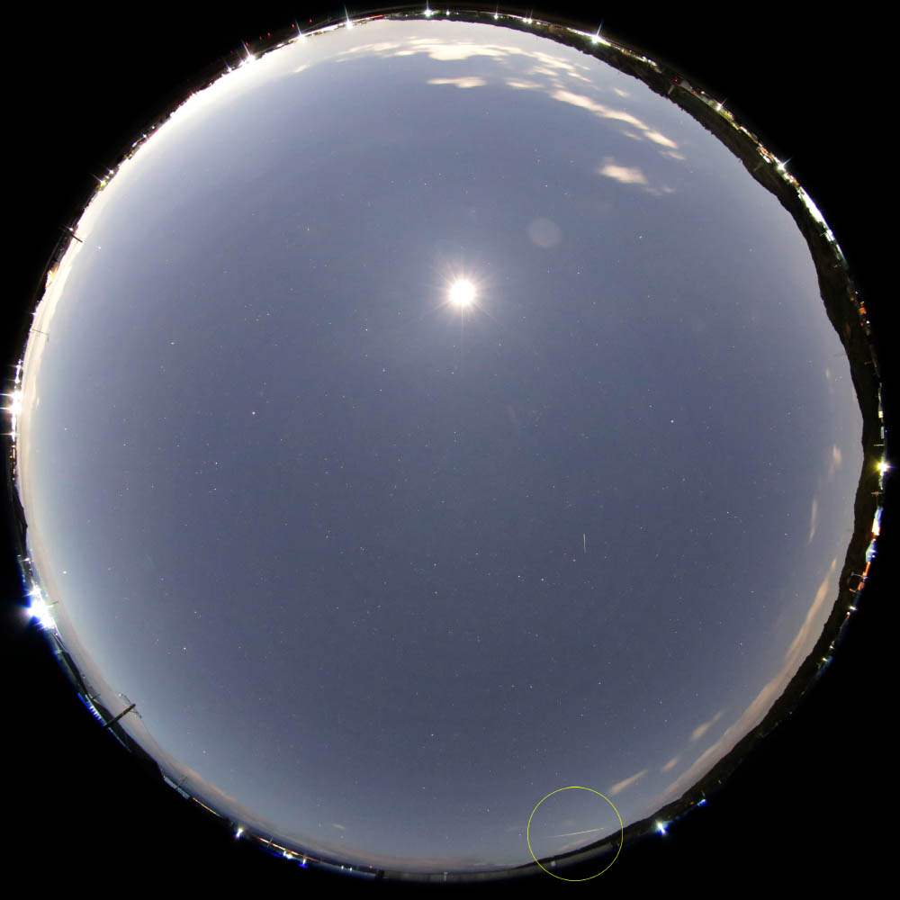 M20241222_050030_磐田市_8mm_full_1000w.jpg
