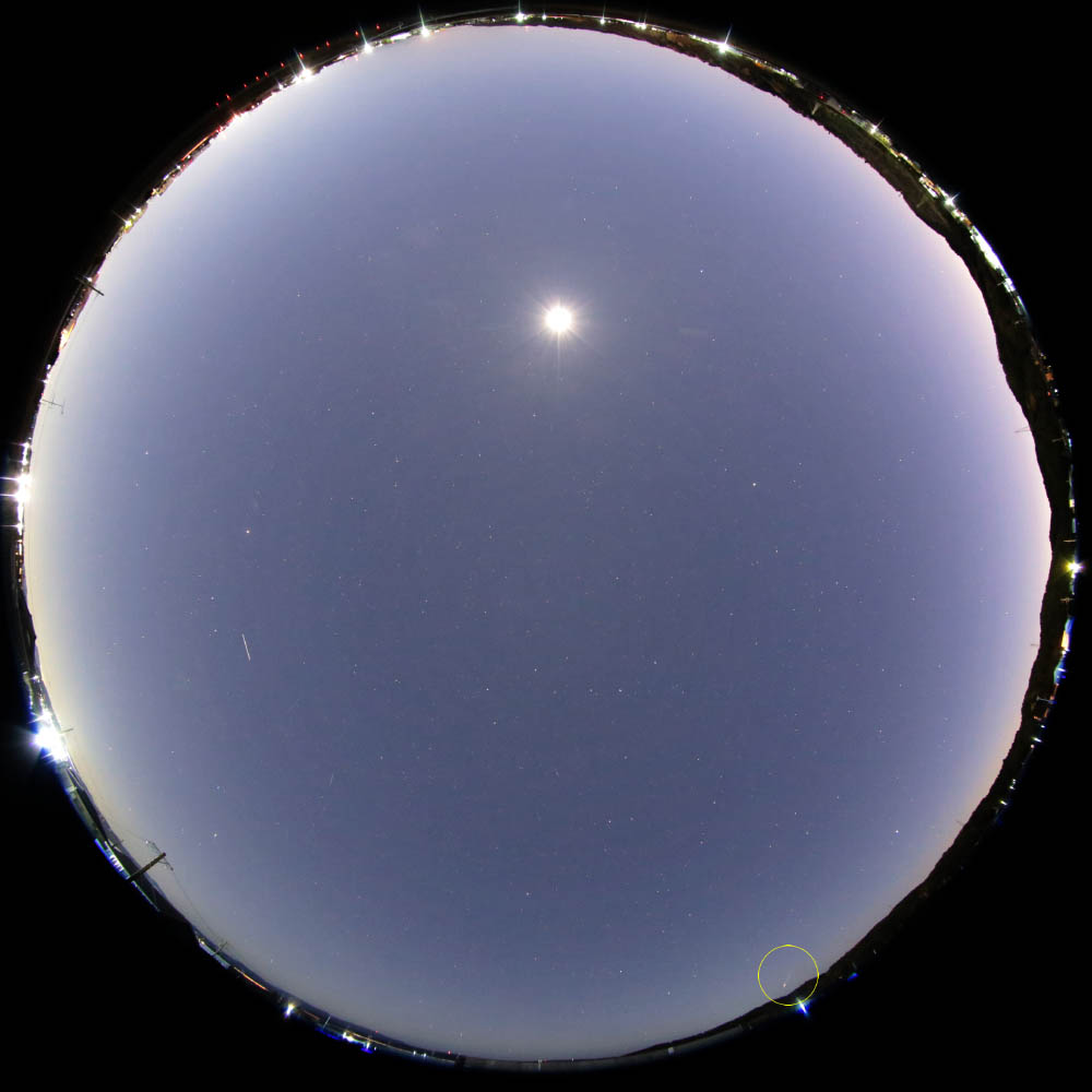 M20241223_054444_磐田市_8mm_full_1000w.jpg