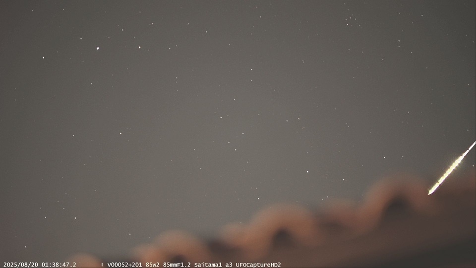 M20250820_013847_JPSaitama1_a3Pm.jpg