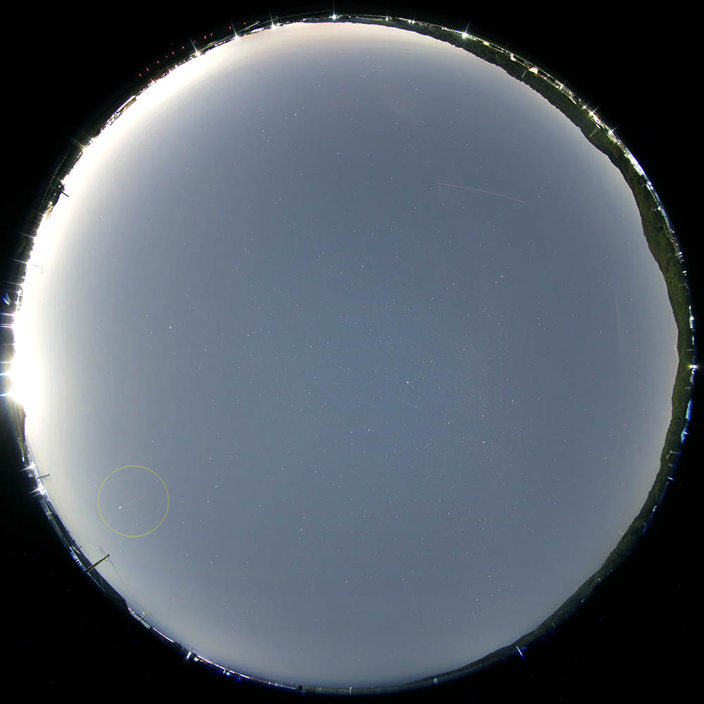 M20260805_202615_磐田市_8mm_full_1000w.jpg