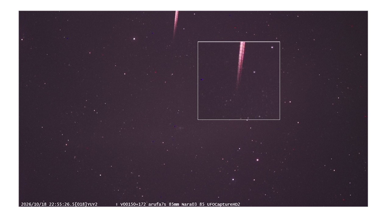 M20261018_225552_JONara03_85.jpg
