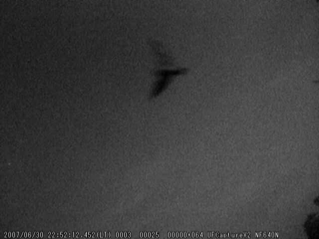 nightbird070630.jpg