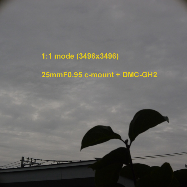 P1000104.JPG