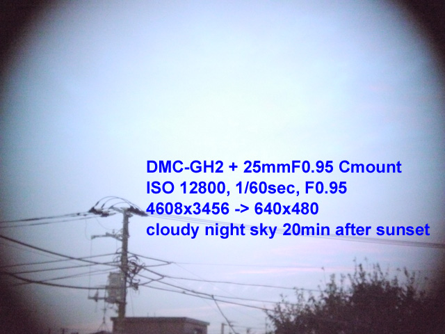 P1000109s.jpg