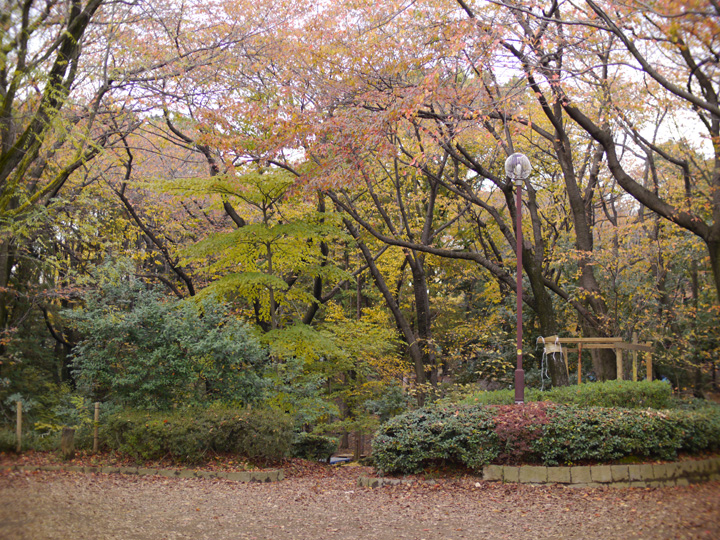 P1000325s.jpg