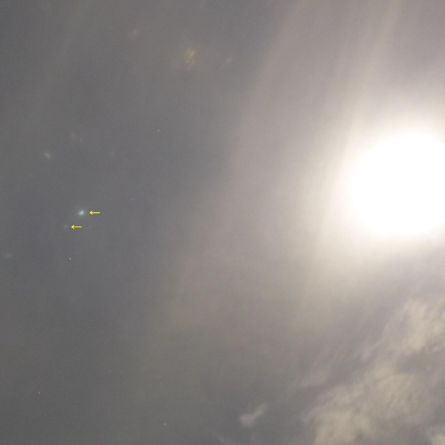 P1000851_2.jpg