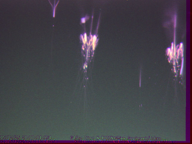 RGB_1225_210104.jpg