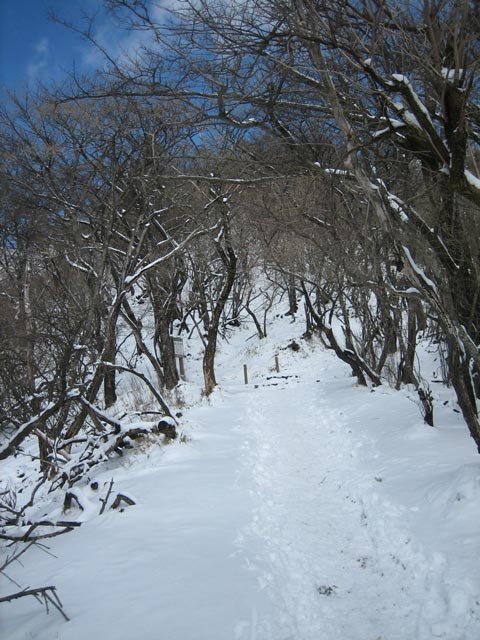 Tanzawa01.jpg