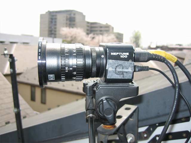 Y25mm.jpg