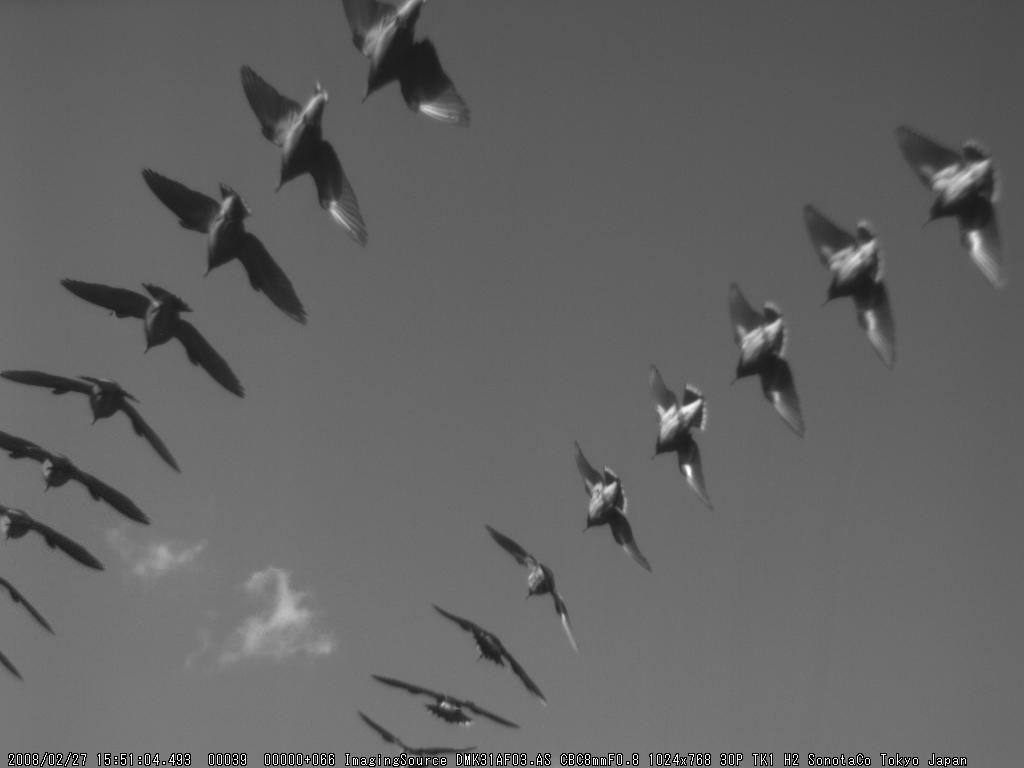 z20080227_155104_TK1_H2.jpg