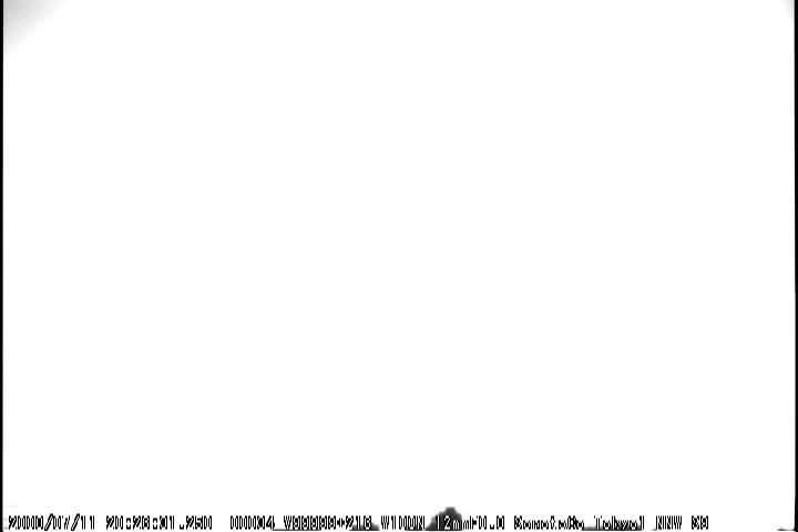z20080711_202631_TK1_S9_069s.jpg
