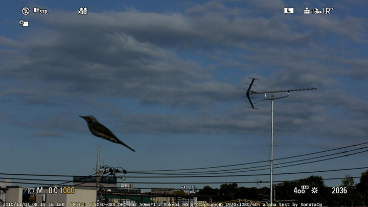 z20101103_081516_Tokyo1_HD_061s.jpg