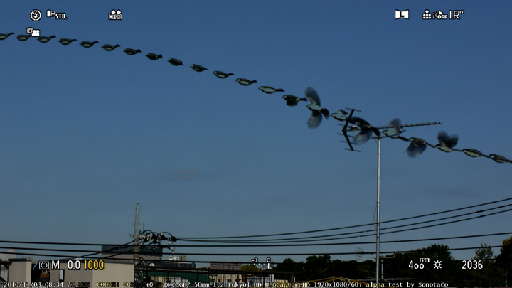 z20101103_083420_Tokyo1_HD_ALL.jpg